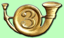 Insigne de bret 1950